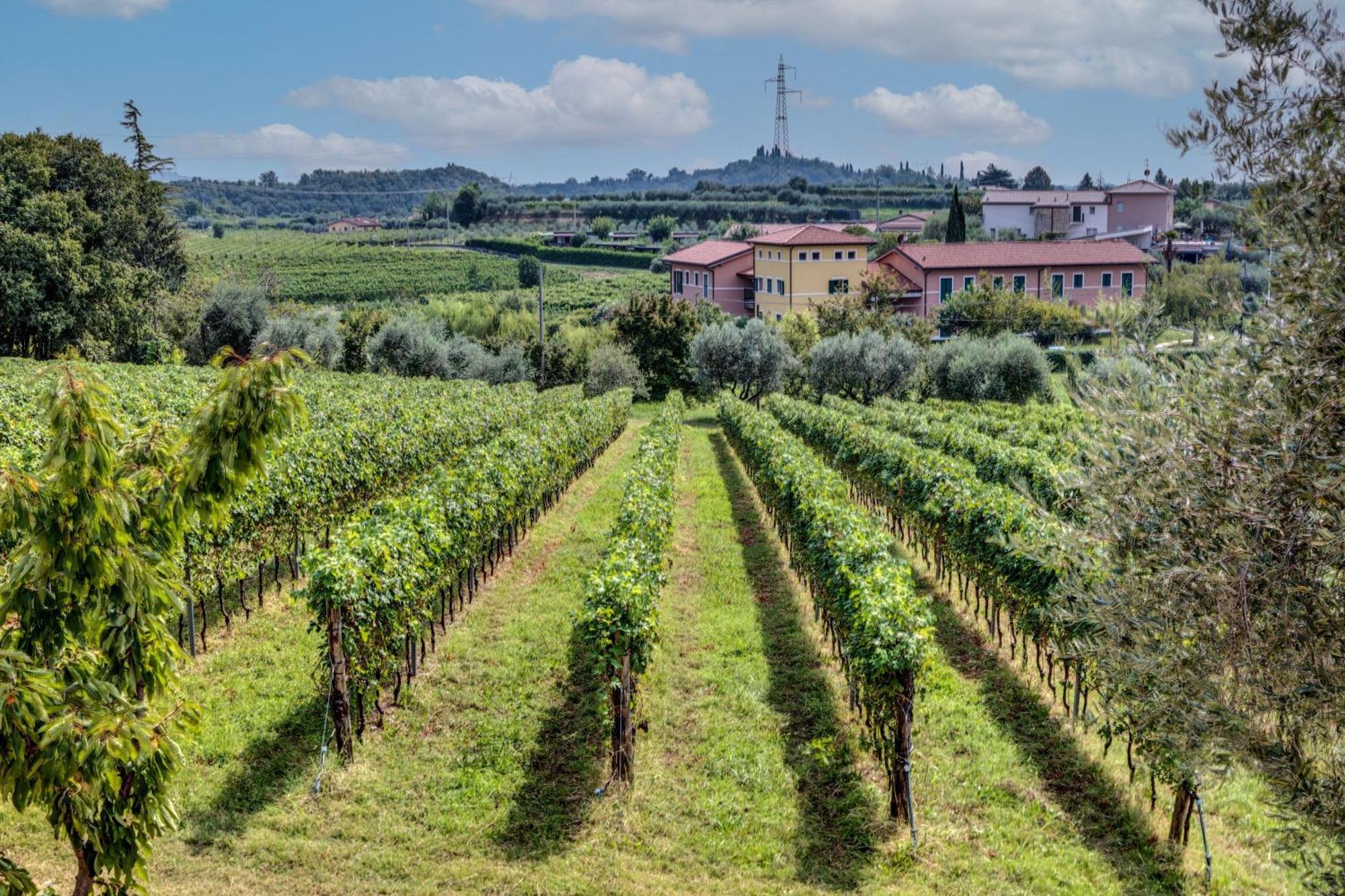 Tenuta Di Palu Bardolino Dış mekan fotoğraf
